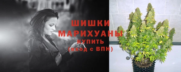 бошки Братск