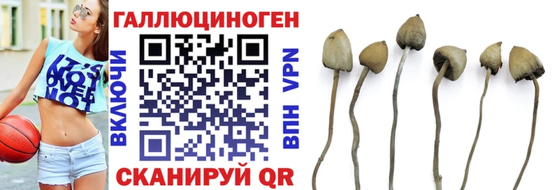 ОМГ ОМГ ссылки  Духовщина  Галлюциногенные грибы ЛСД 
