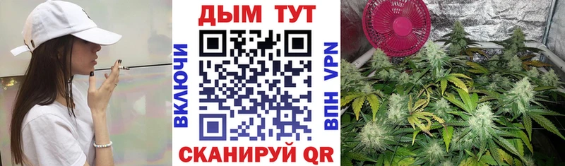 Шишки марихуана Bruce Banner  где купить   Духовщина 